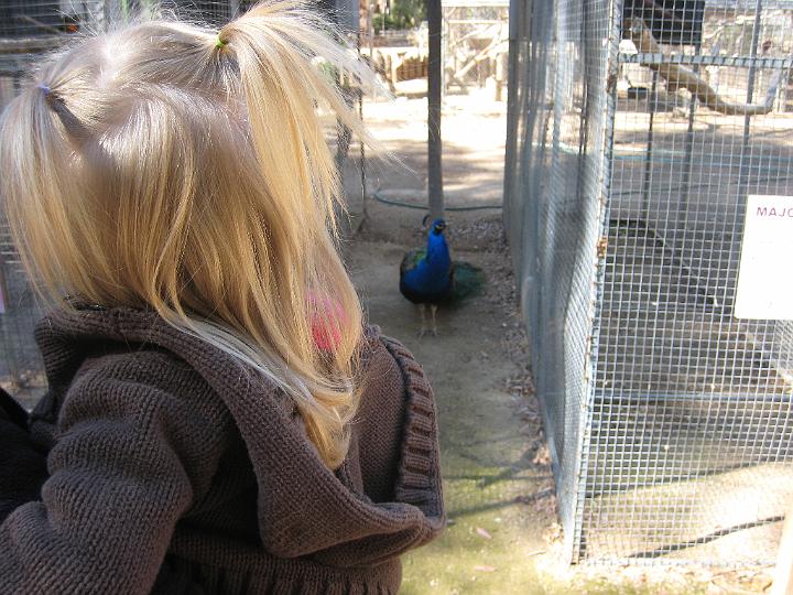 2nd Birthday at the zoo 07.JPG